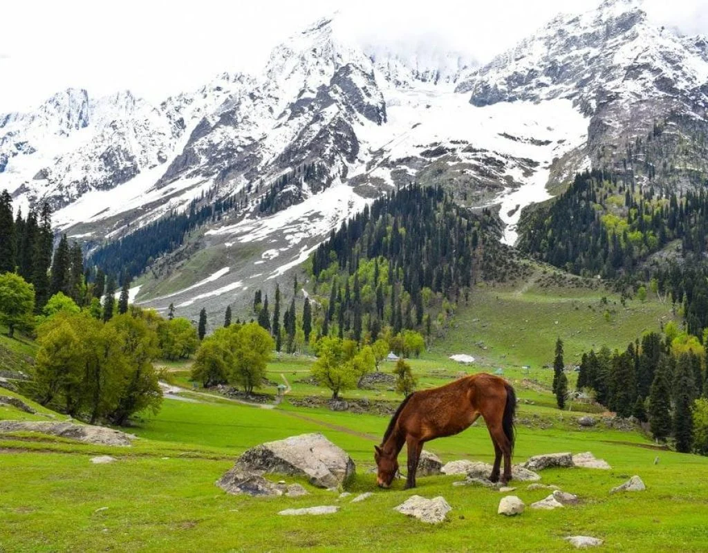 Pahalgam